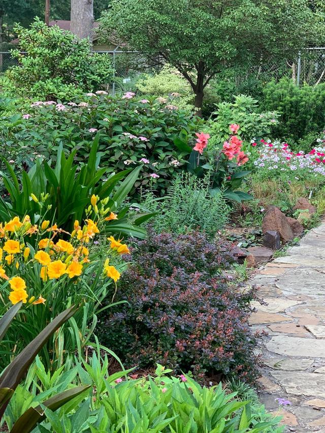 How to Create a Perennial Flower Garden